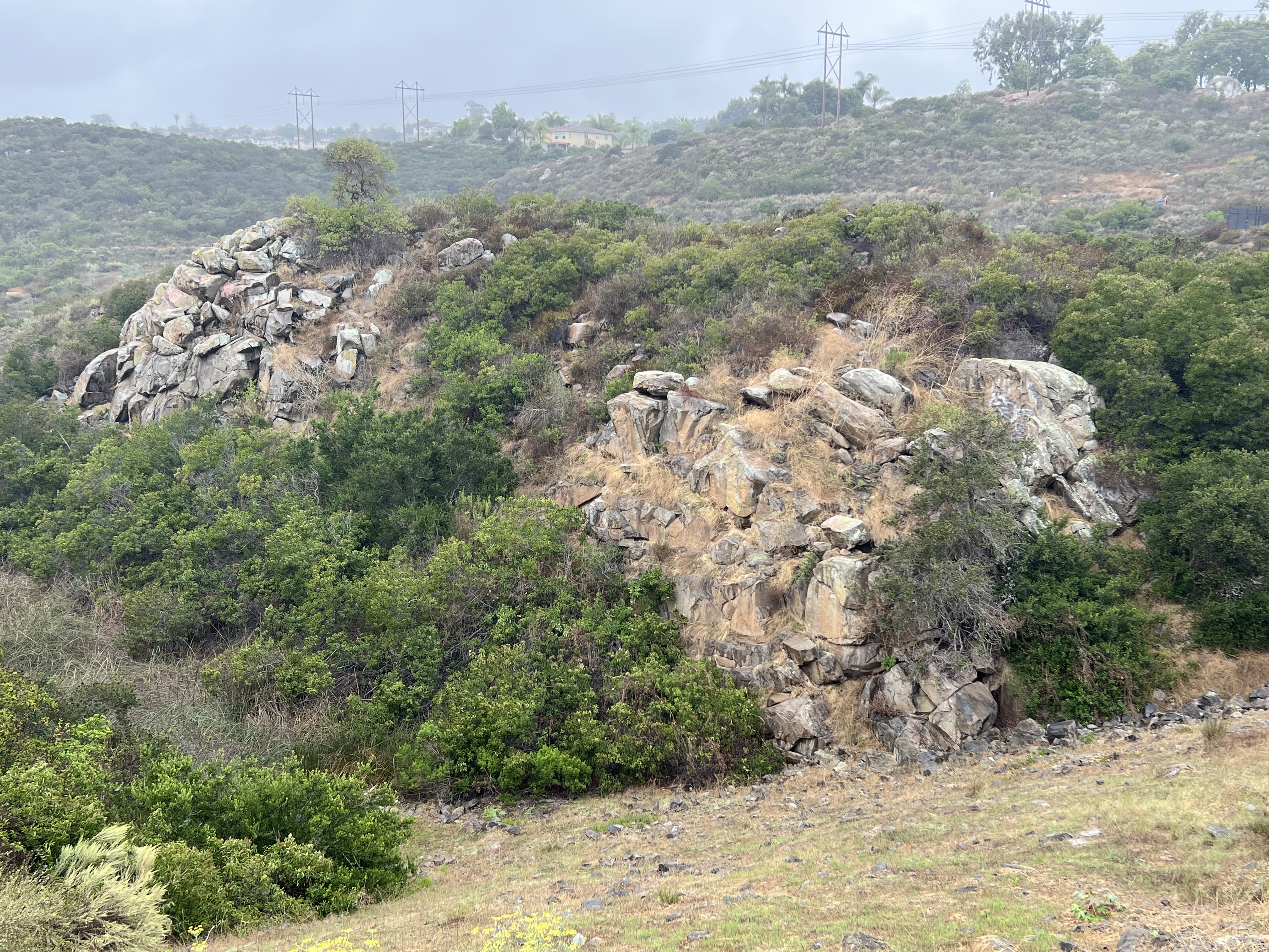 Outcrops of tonalite, red orange and spherical weathering