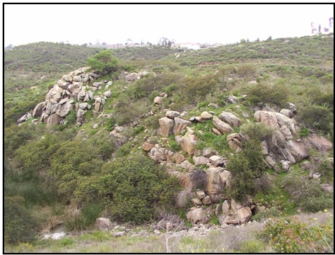 On Stop #1 we pass some large intrusive igneous outcrops that exhibit spheroidal weathering. It looks like an onion skin peeling off of the rocks. 