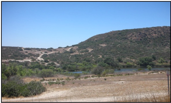 This picture shows the white eroded material from the Santiago Formation surrounding the volcanic plug.