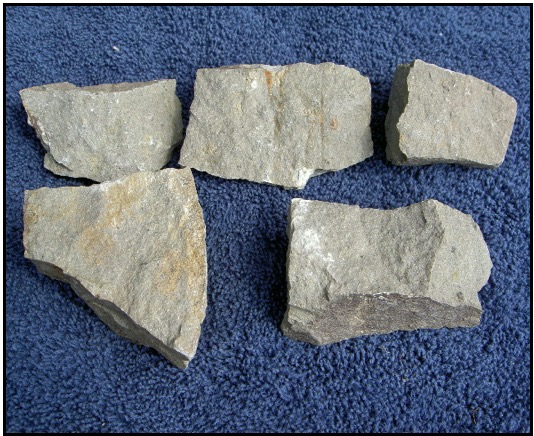 This picture shows examples of the gray, fine grained volcanic rocks found at Calavera Hills.