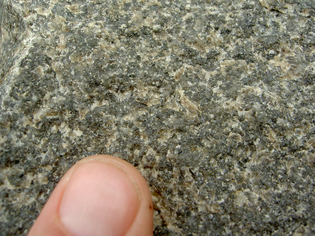 A close-up of Green Valley Tonalite fresh exposure