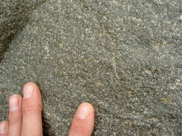 Green Valley Tonalite fresh exposure