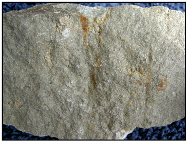 This is the first of a series of 2 pictures that show the gray fine-grained (aphanitic) unit. This one is a close-up.