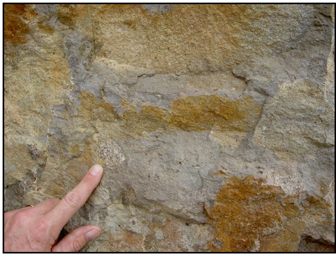 This shows an inclusion of salt and pepper colored tonalite in a matrix of gray fine grained dacite .