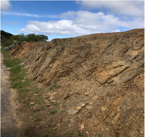 Outcrop of greenschist along airport road.  In this picture its near vertical 
 