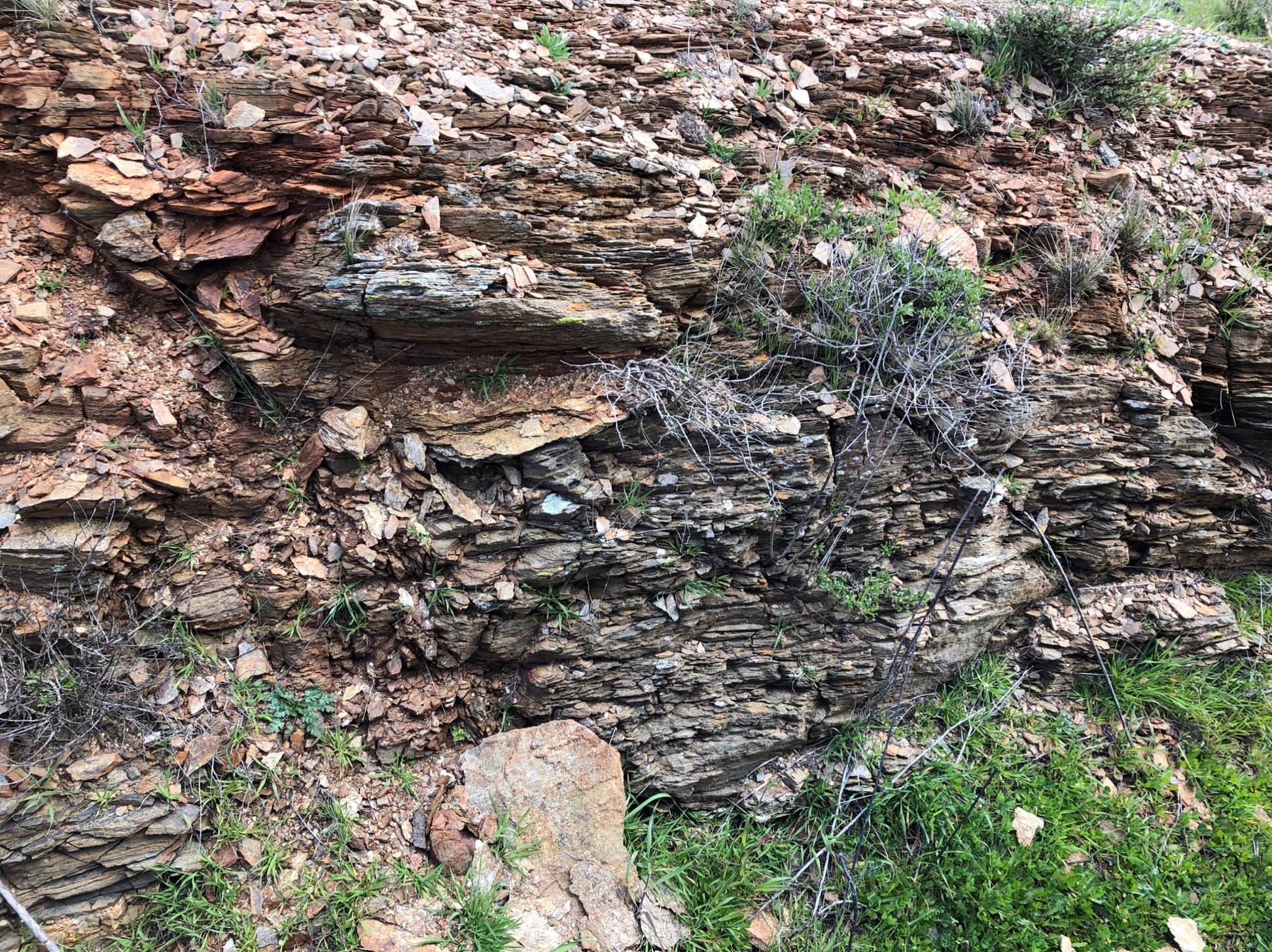 Outcrops of greenschist along airport road. This picture shows the fabric to being close to horizontal.