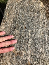 Greenschist