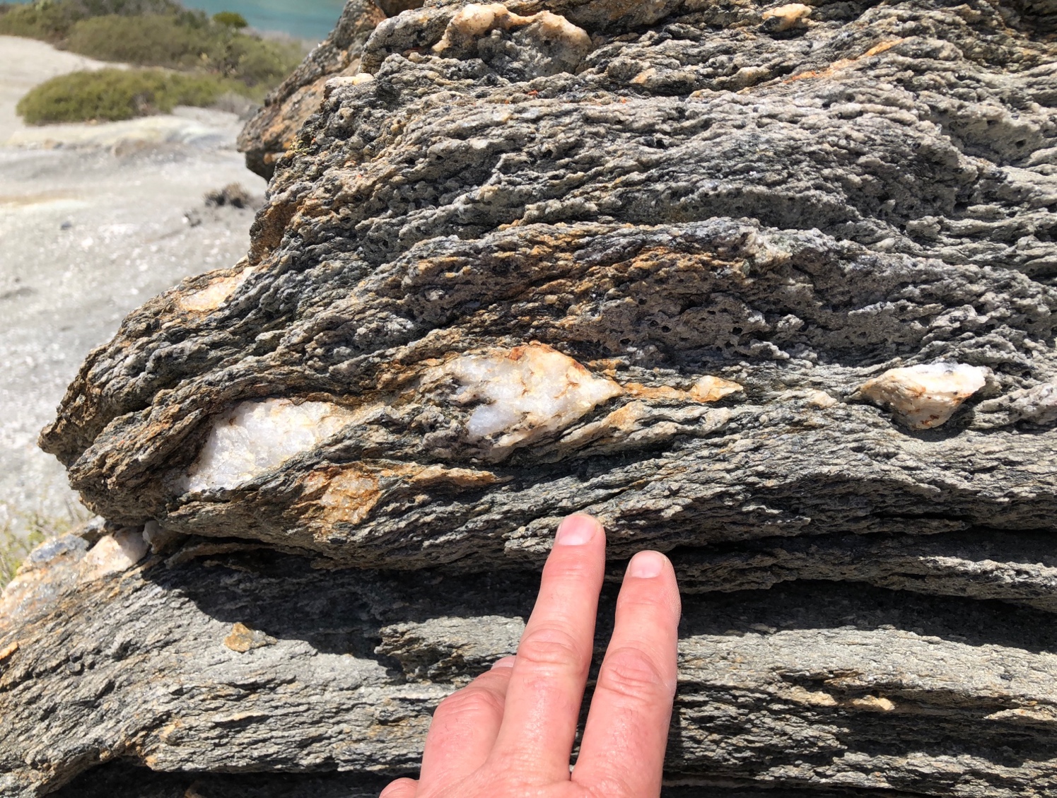 A hand touching a rock,greenschist with quartzite