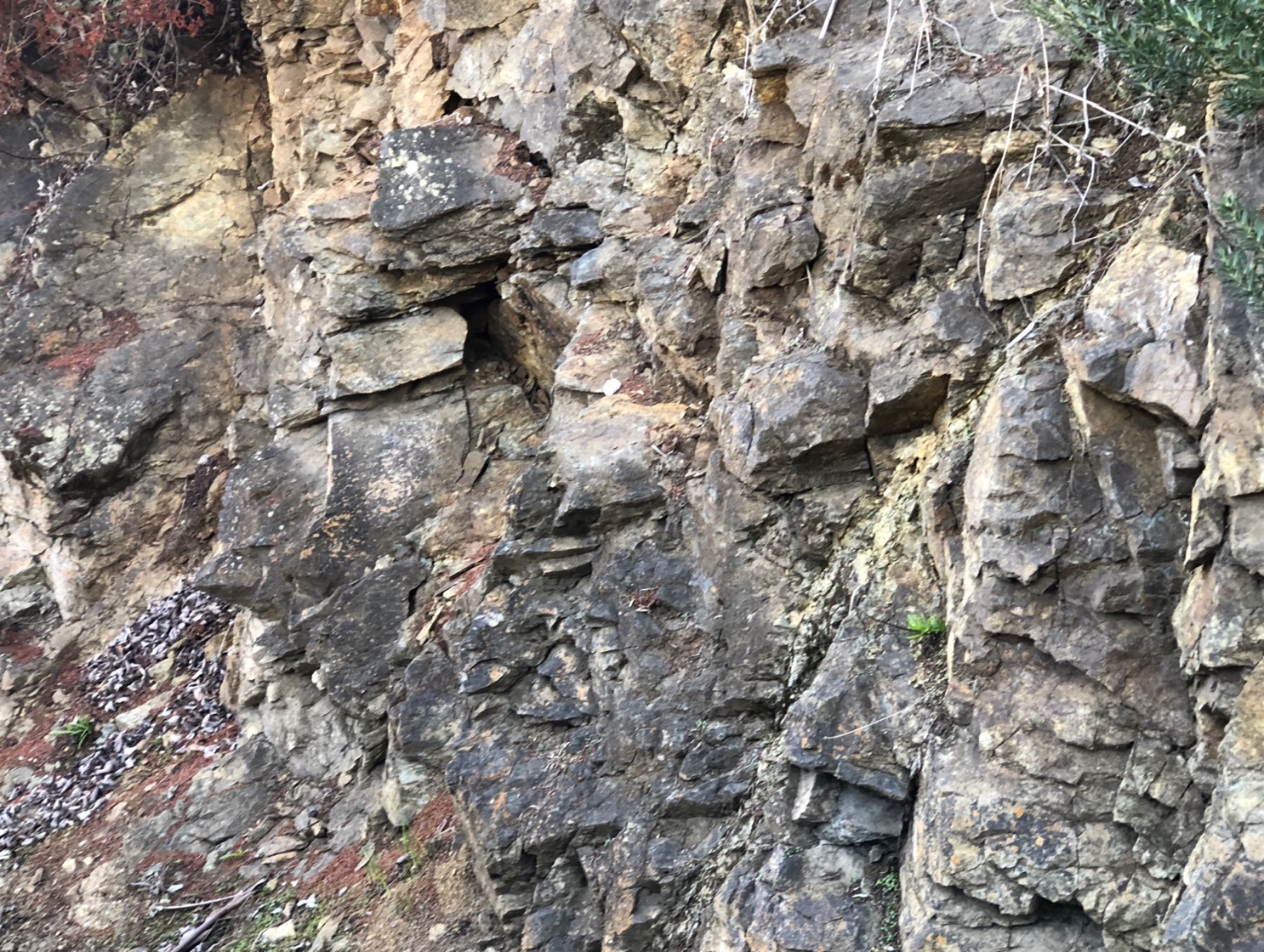 Heavily fractured quartz diorite unit