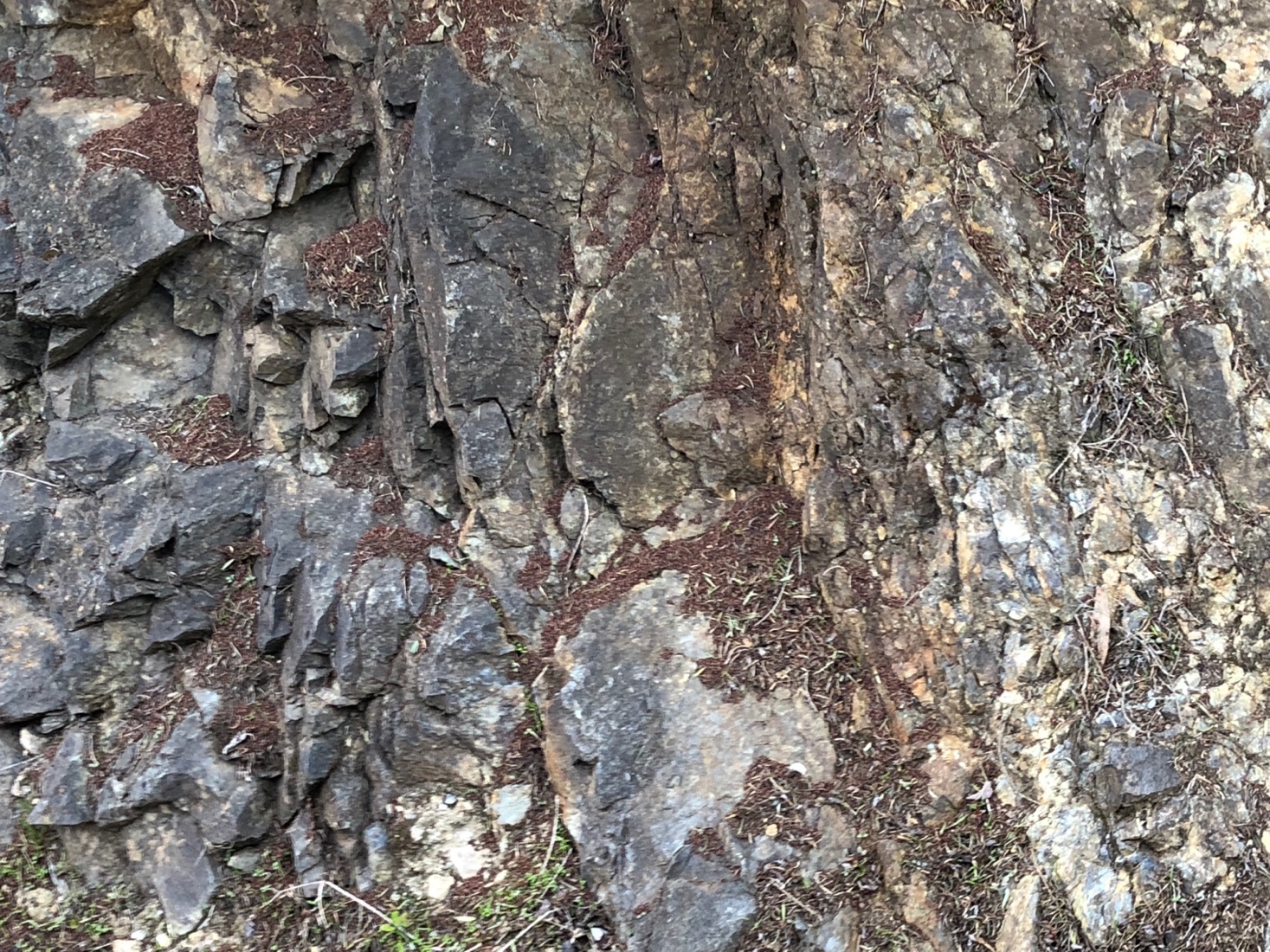 A close up of a rock
Description automatically generated