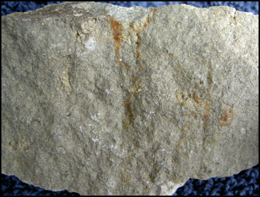 This is the first of a series of 2 pictures that show the gray fine-grained (aphanitic) unit. This one is a close-up.
