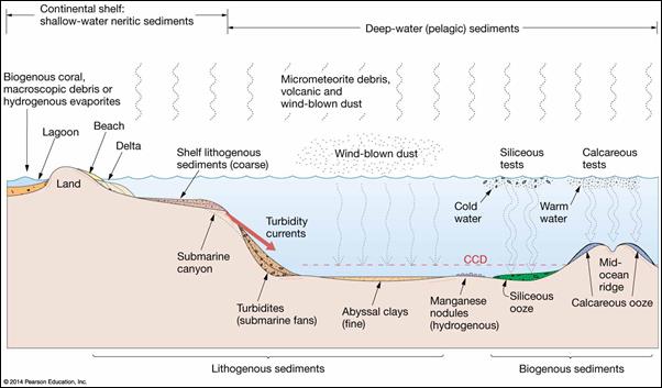 terrigenous sediment